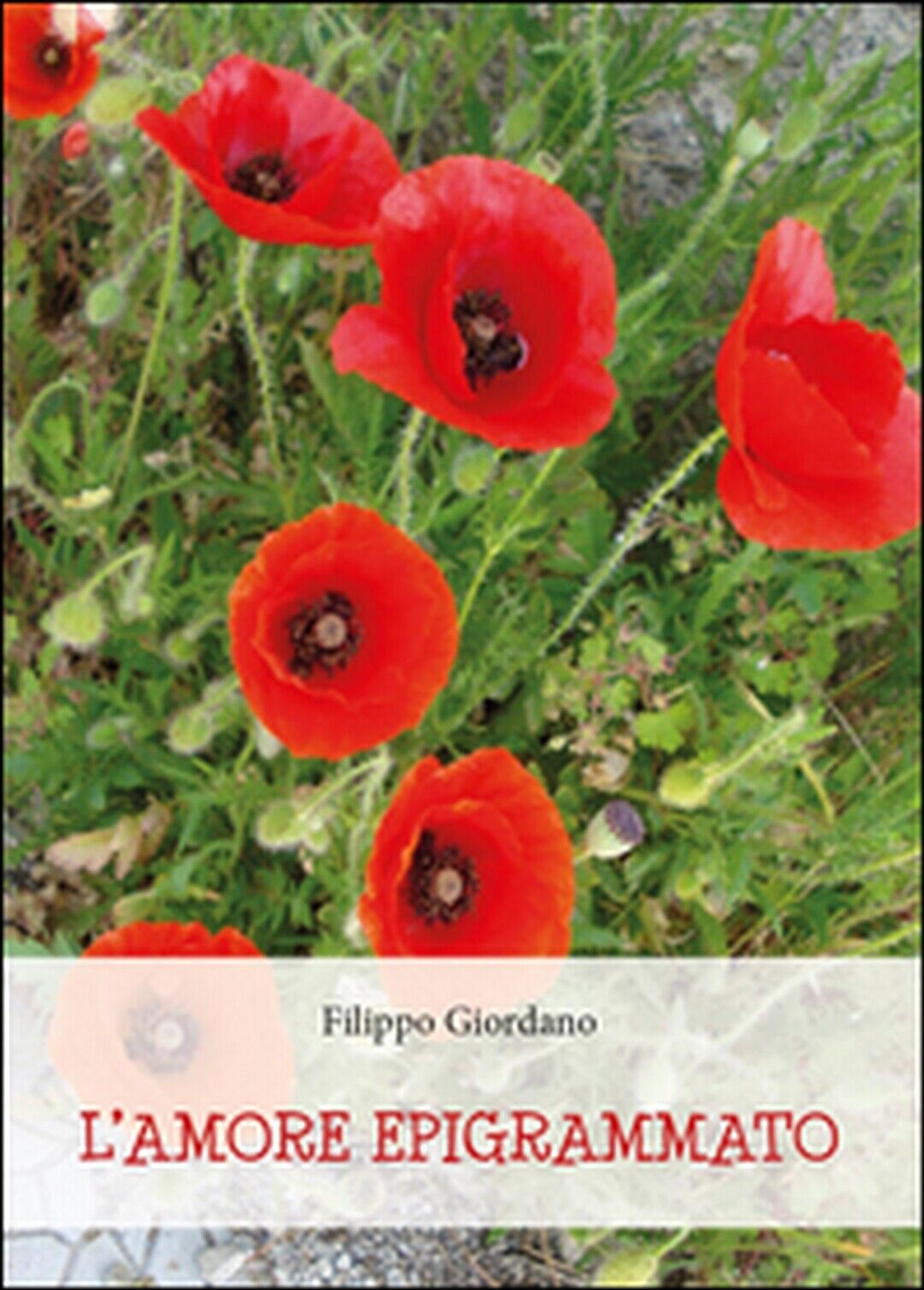 L'amore epigrammato  di Filippo Giordano,  2016,  Youcanprint libro usato