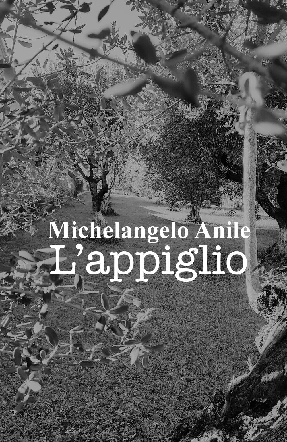 L'appiglio di Michelangelo Anile,  2021,  Youcanprint libro usato