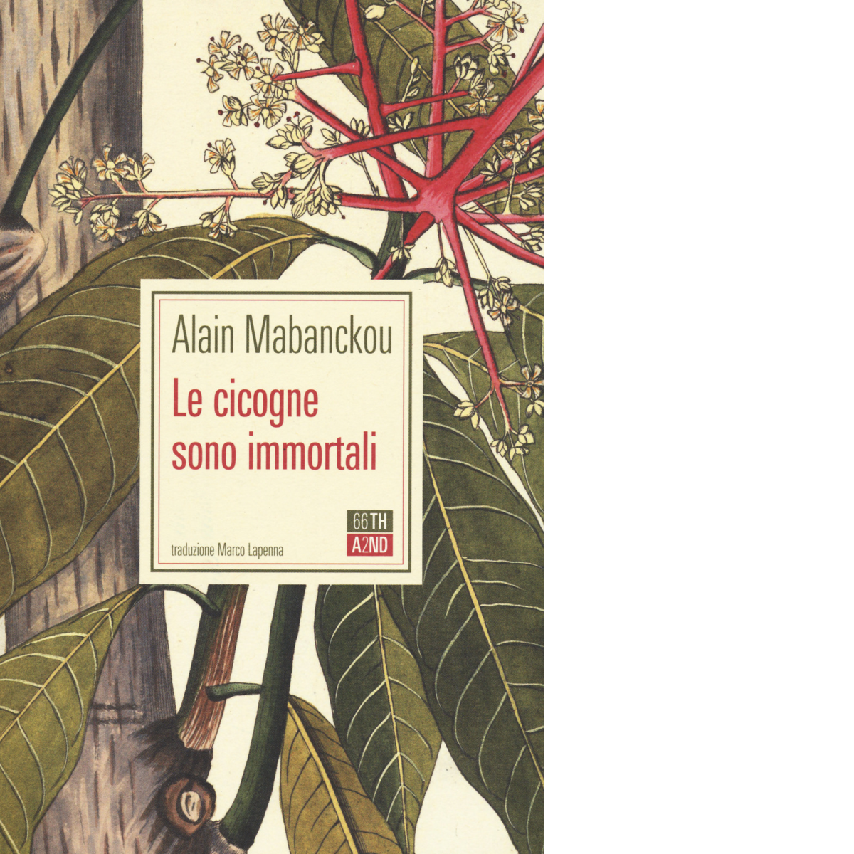Le cicogne sono immortali di Alain Mabanckou,  2020,  66th And 2nd libro usato