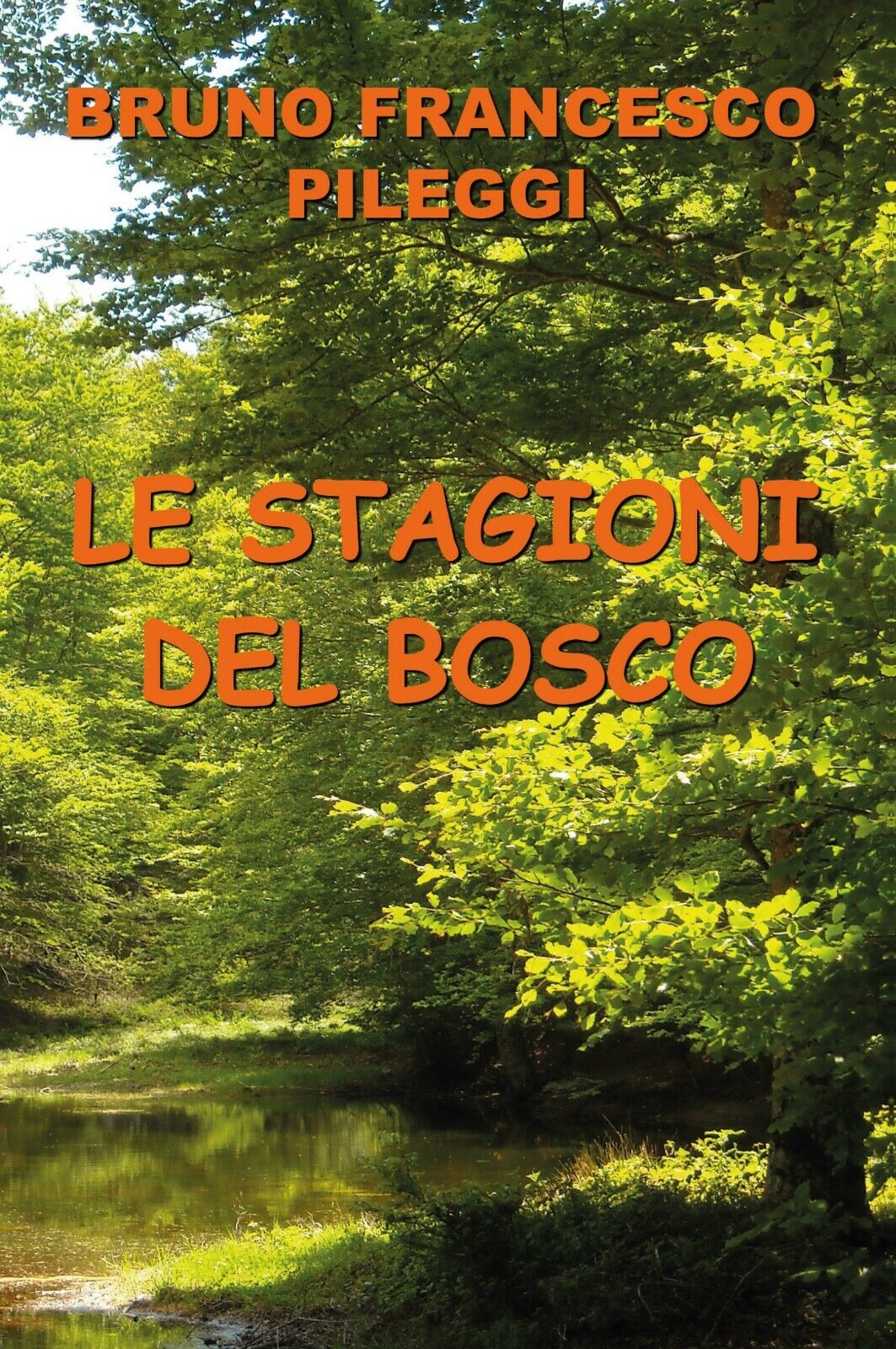 Le stagioni del bosco di Bruno Francesco Pileggi,  2020,  Youcanprint libro usato