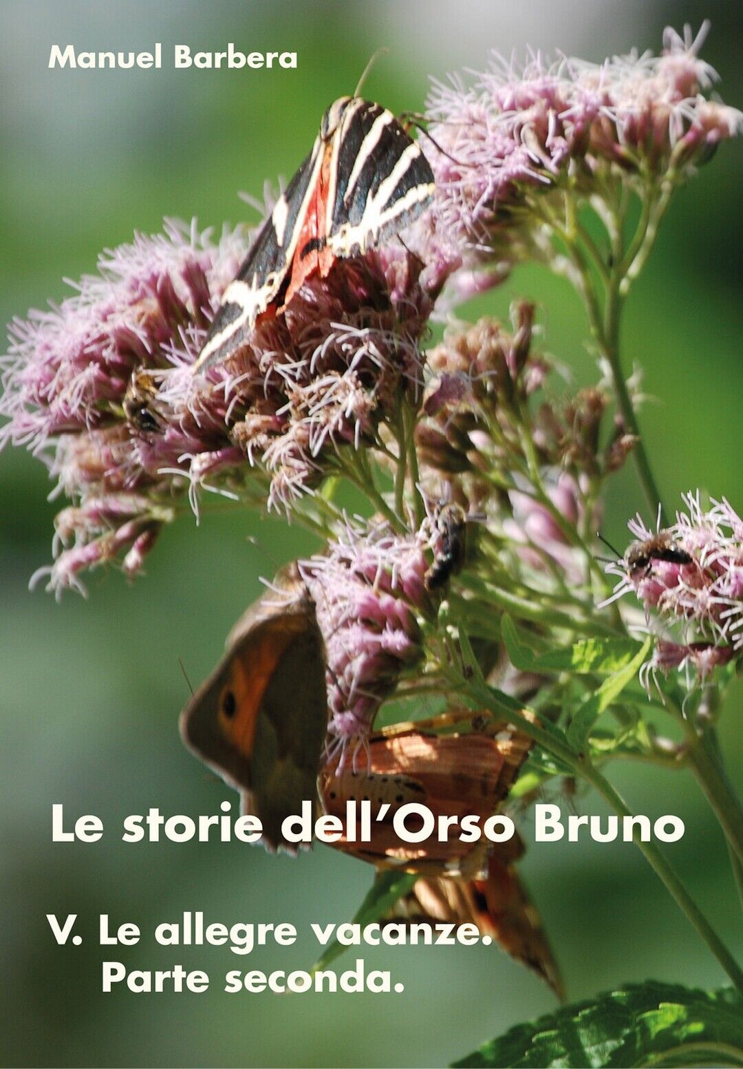 Le storie delL'Orso Bruno - 5  di Manuel Barbera,  2017,  Youcanprint libro usato