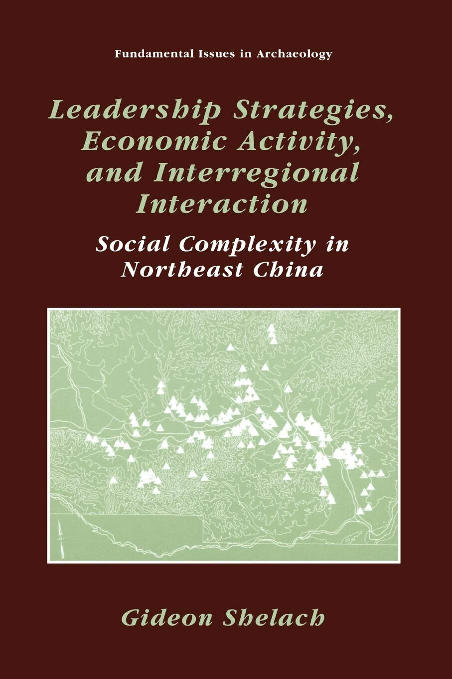 Leadership Strategies, Economic Activity, and Interregional Interaction - 2010 libro usato