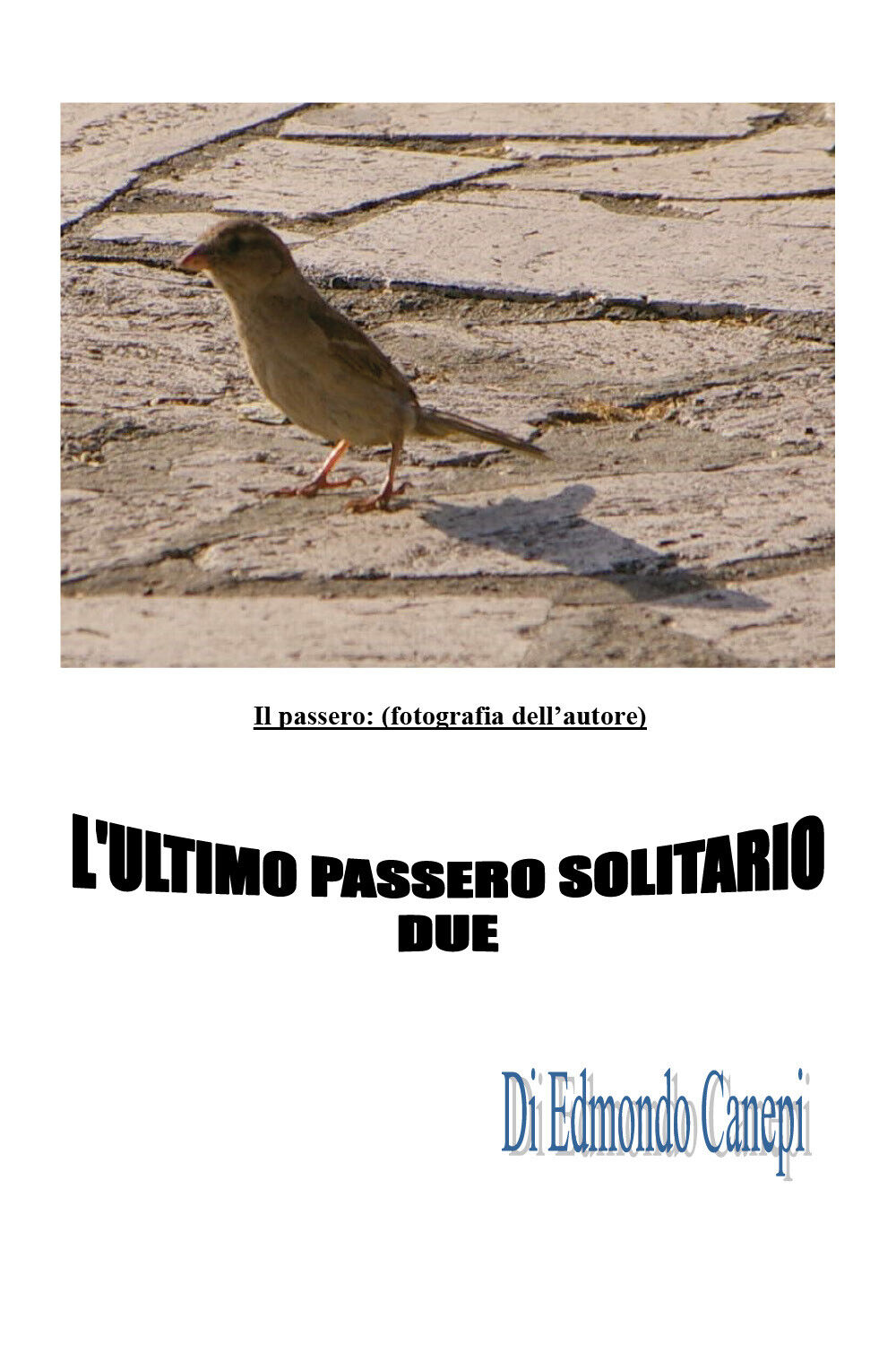 L'ultimo passero solitario di Edmondo Canepi,  2019,  Youcanprint libro usato
