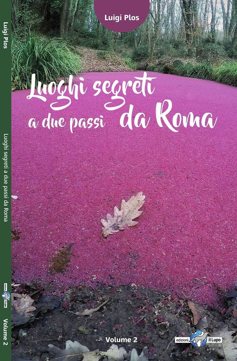 Luoghi segreti a due passi da Roma ? Vol. 2 di Luigi Plos, 2018, Edizioni Il  libro usato