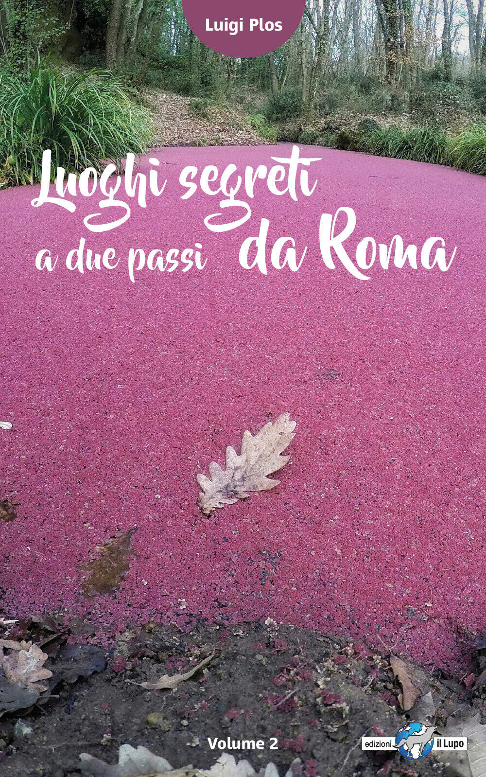 Luoghi segreti a due passi da Roma - Volume 2 - Luigi Plos, G. Gandini,  2017,   libro usato