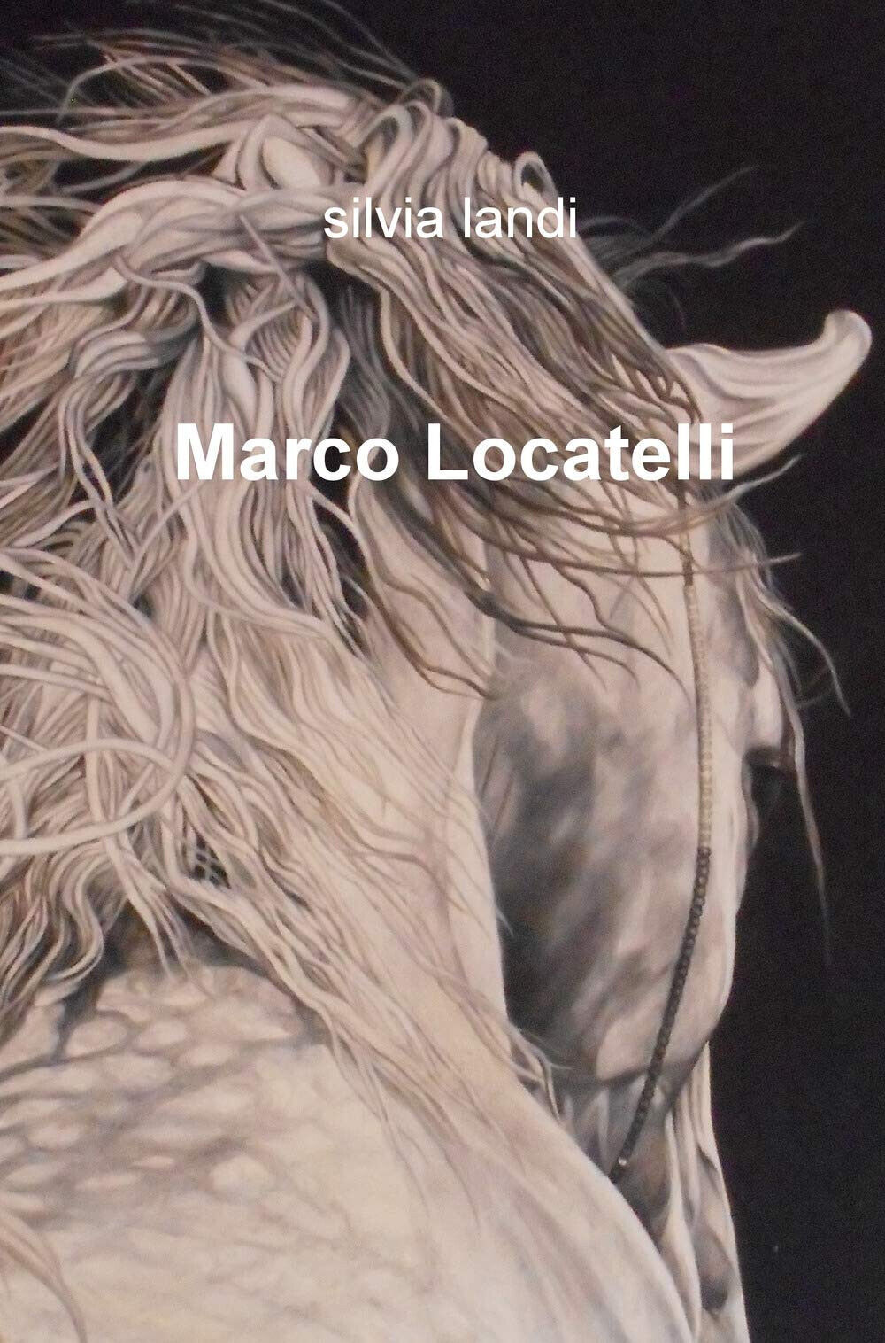 Marco Locatelli - Silvia Landi - ilmiolibro, 2019 libro usato