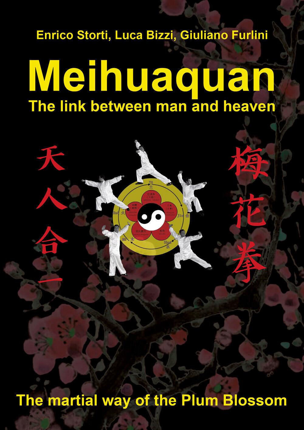 Meihuaquan. The Link Between Man and Heaven di Enrico Storti, Luca Bizzi, Giulia libro usato