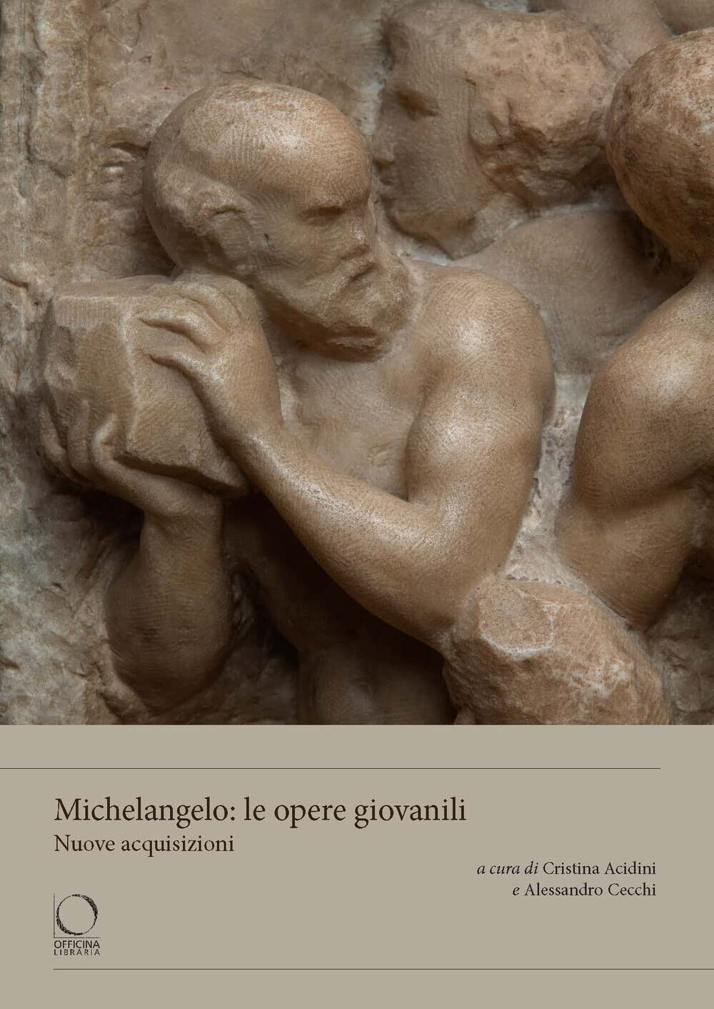 Michelangelo: le opere giovanili. Nuove acquisizioni - C. Acidini - 2023 libro usato