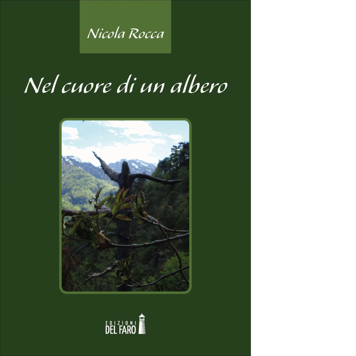 Nel cuore di un albero di Rocca Nicola - Edizioni Del faro, 2016 libro usato