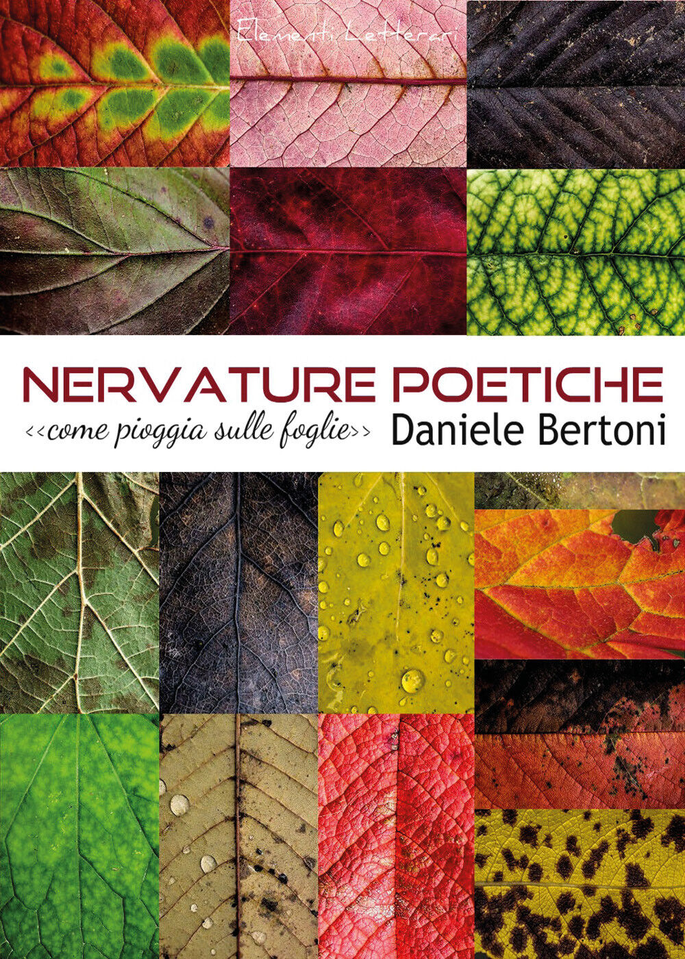 Nervature poetiche di Daniele Bertoni,  2017,  Youcanprint libro usato