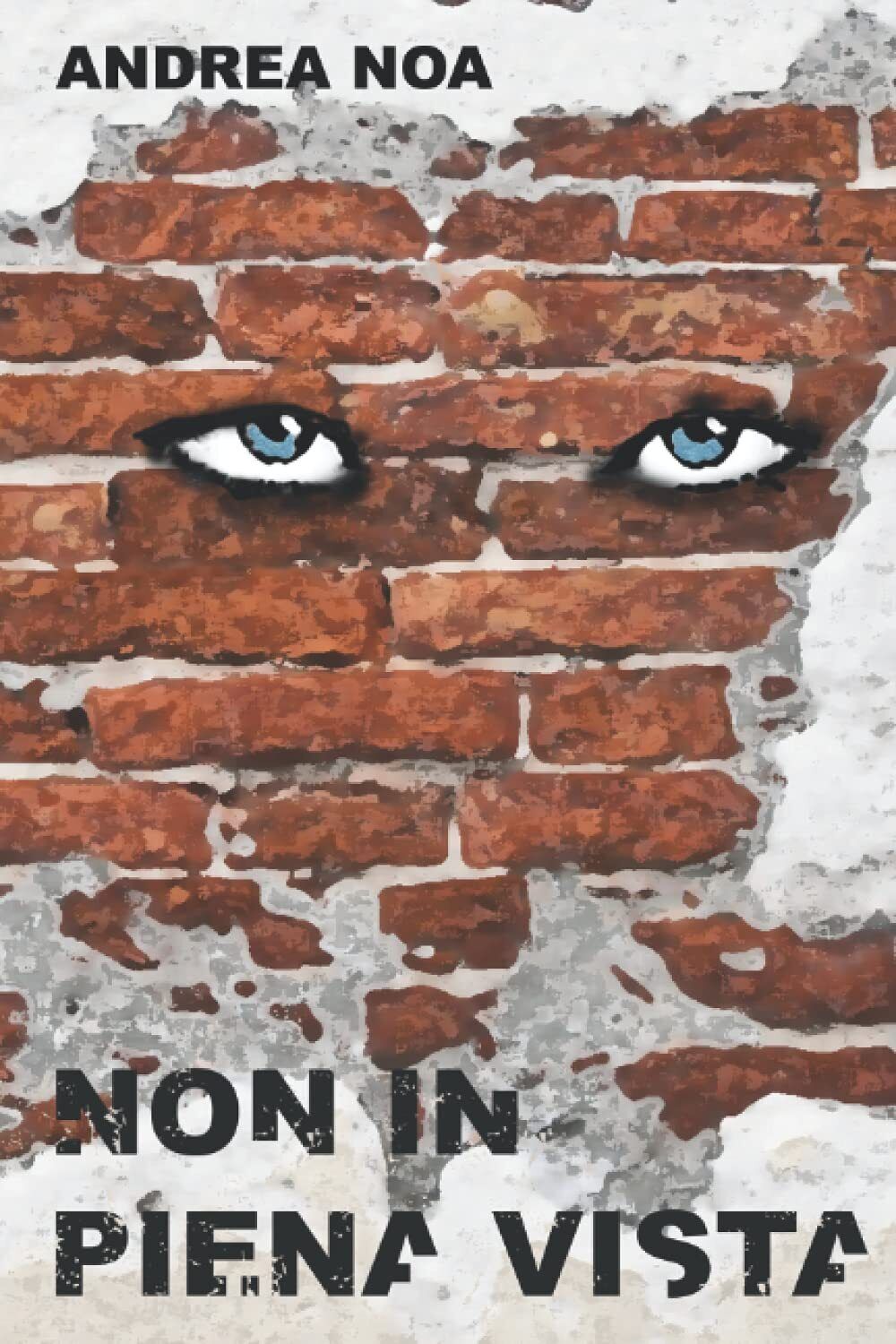 Non in Piena Vista - Andrea Noa - Independently published, 2021 libro usato