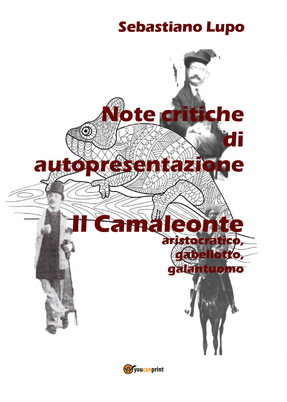 Note critiche di autopresentazione del romanzo Il Camaleonte aristocratico, gabe libro usato
