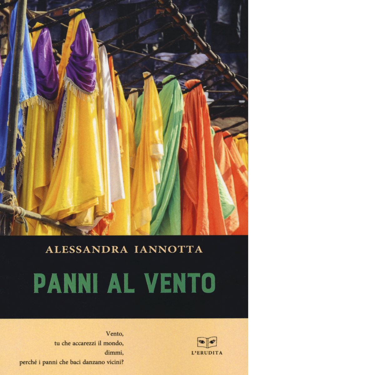 Panni al vento di Alessandra Iannotta - Perrone, 2021 libro usato