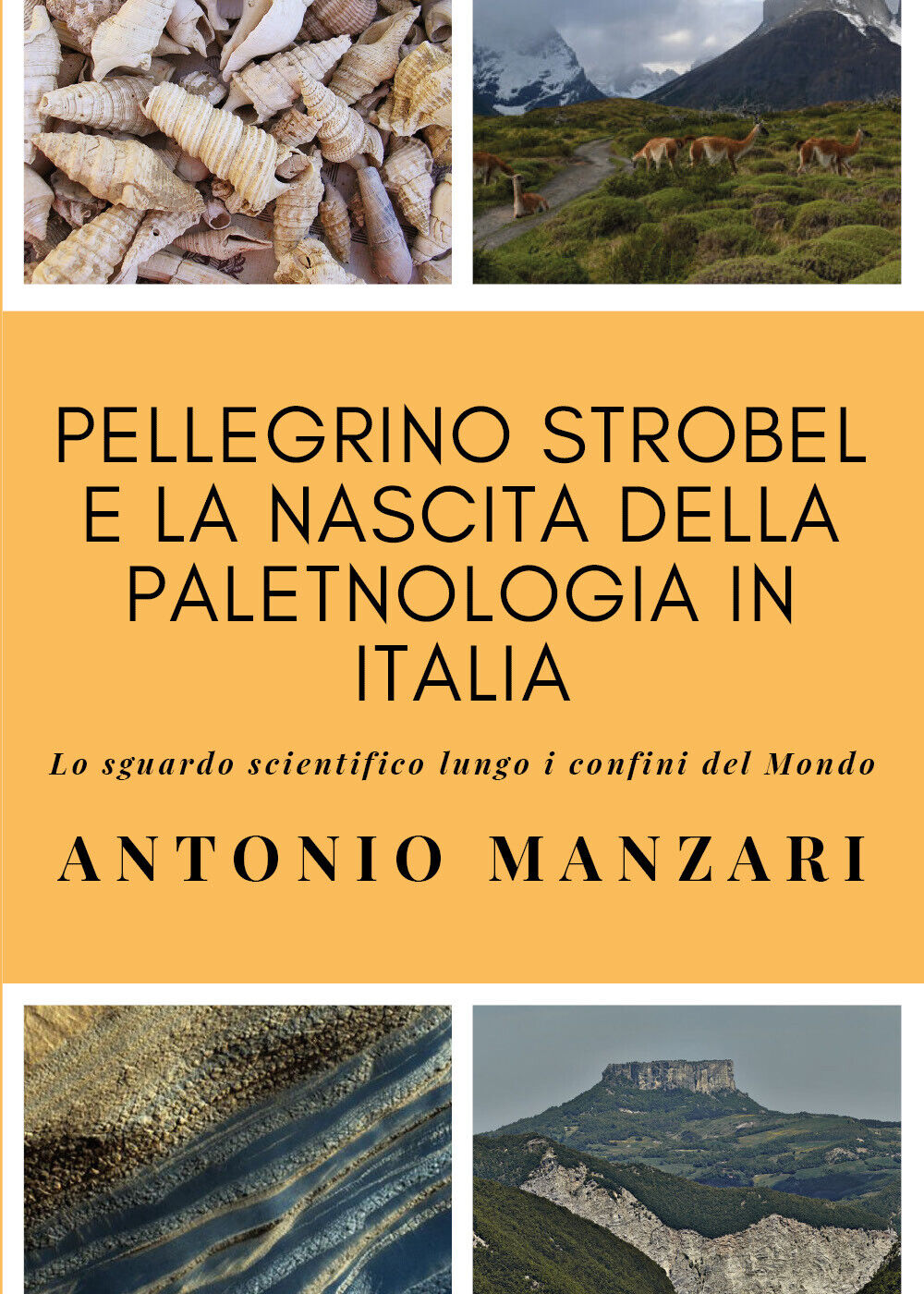 Pellegrino Strobel e la nascita della paletnologia in Italia. Lo sguardo scienti libro usato