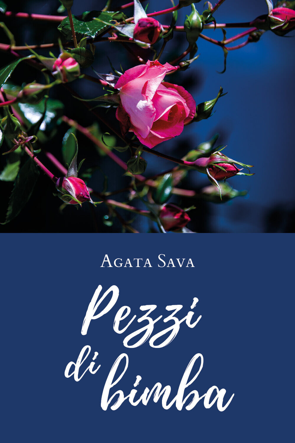 Pezzi di bimba  di Agata Sava,  2020,  Youcanprint libro usato