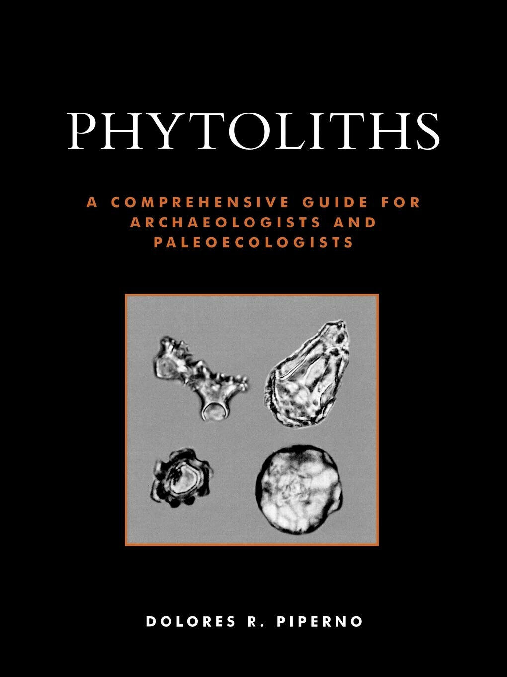Phytoliths - Dolores R. Piperno - Altamira , 2006 libro usato