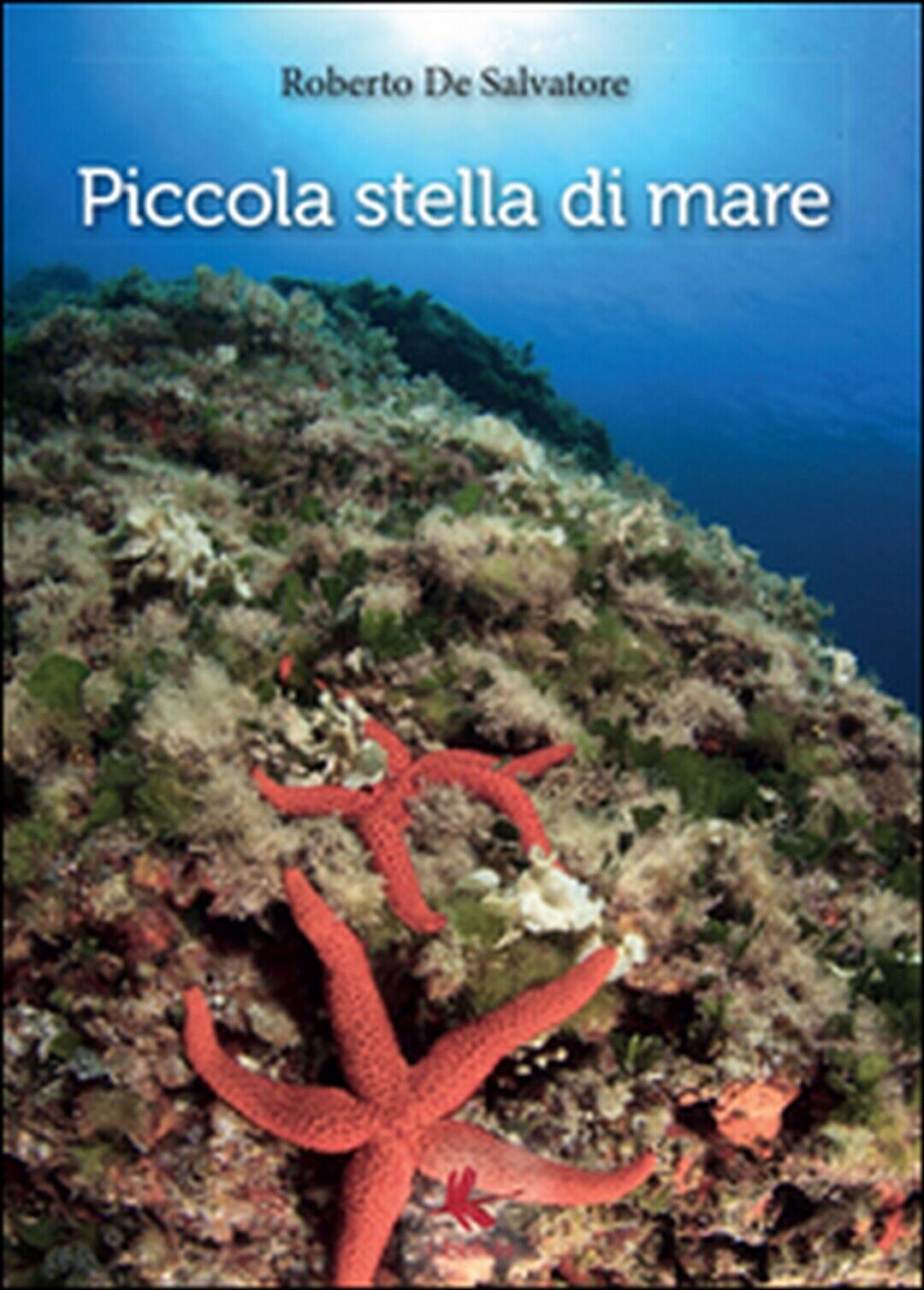 Piccola stella di mare  di Roberto De Salvatore,  2014,  Libellula Edizioni libro usato