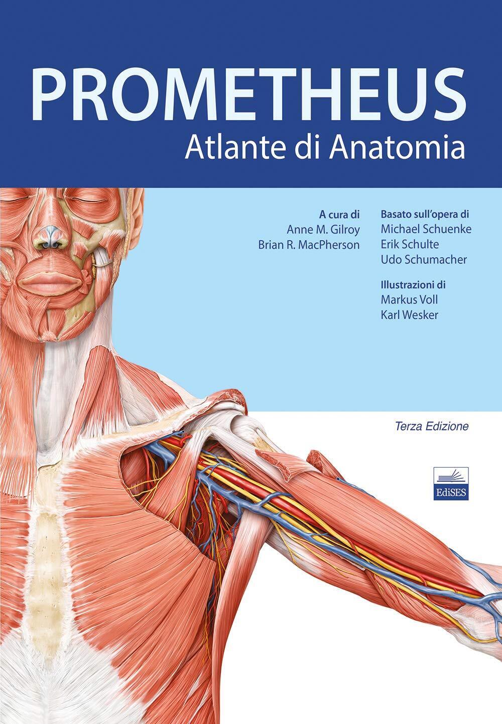 Prometheus. Altante di anatomia -  Anne M. Gilroy - Edises, 2019 libro usato