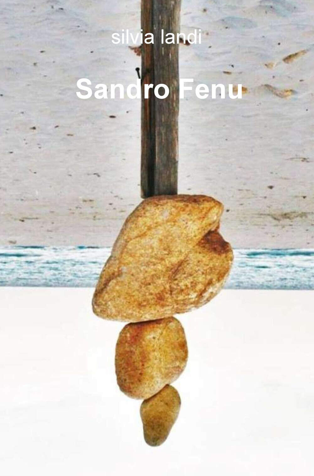 Sandro Fenu. Ediz. illustrata - Silvia Landi - ilmiolibro, 2019 libro usato