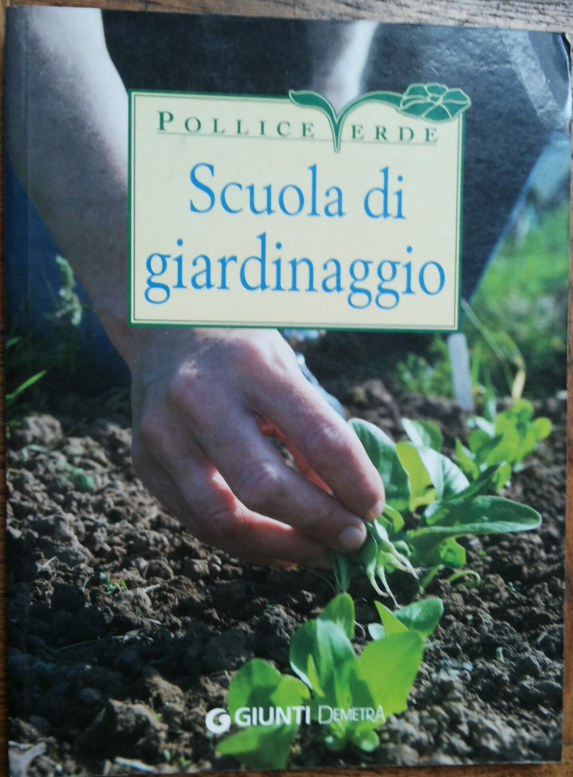 Scuola di giardinaggio - Ferioli - Giunti Demetra,2013 - R libro usato