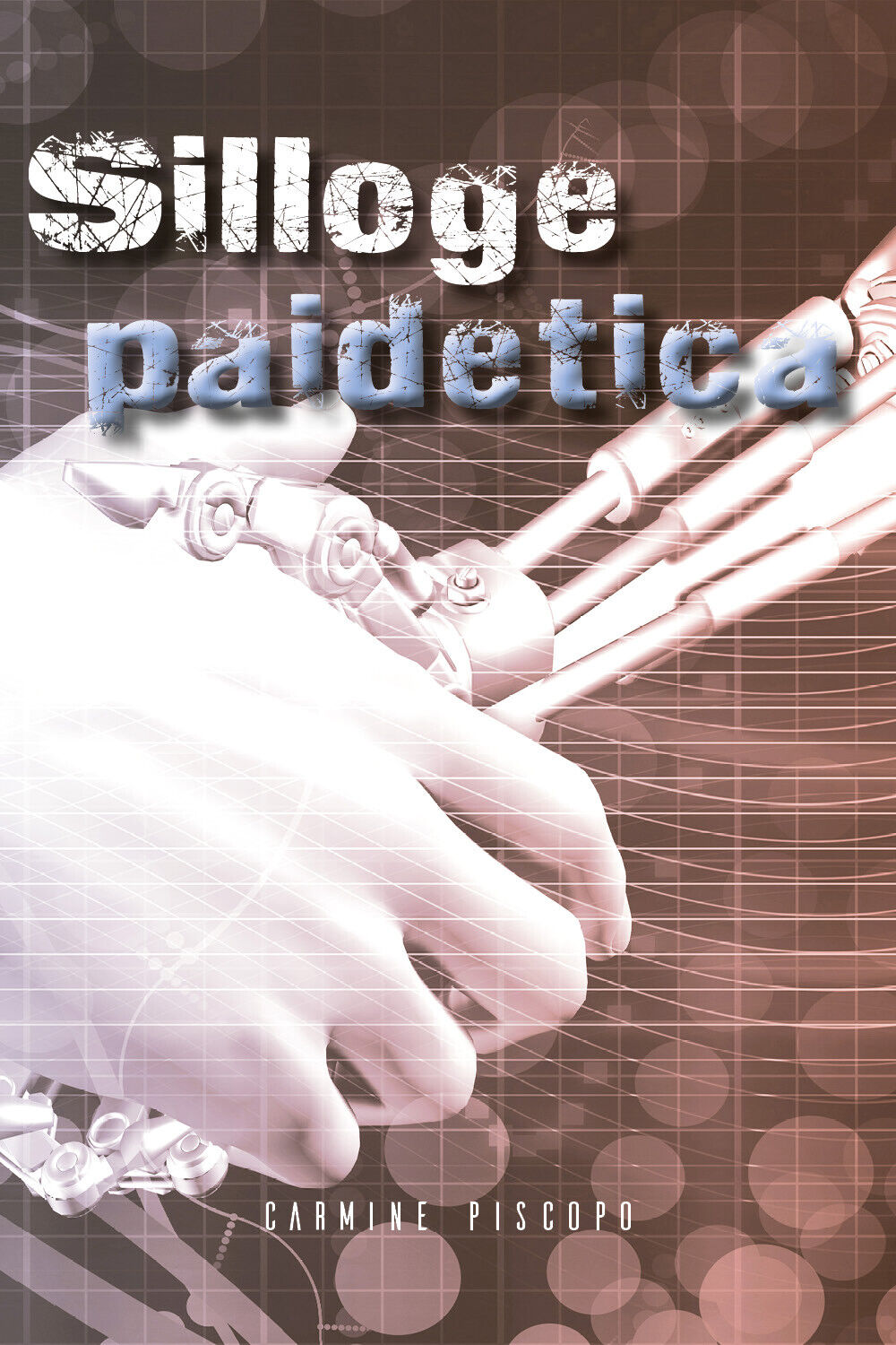Silloge paidetica di Carmine Piscopo,  2020,  Youcanprint libro usato
