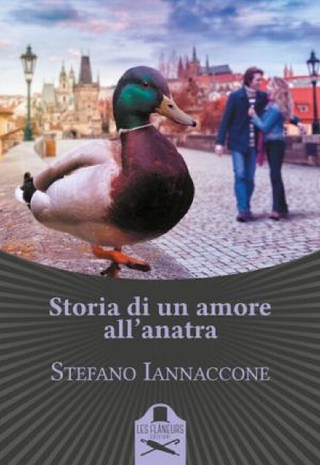 Storia di un amore alL'anatra  di Stefano Iannaccone ,  Flaneurs libro usato