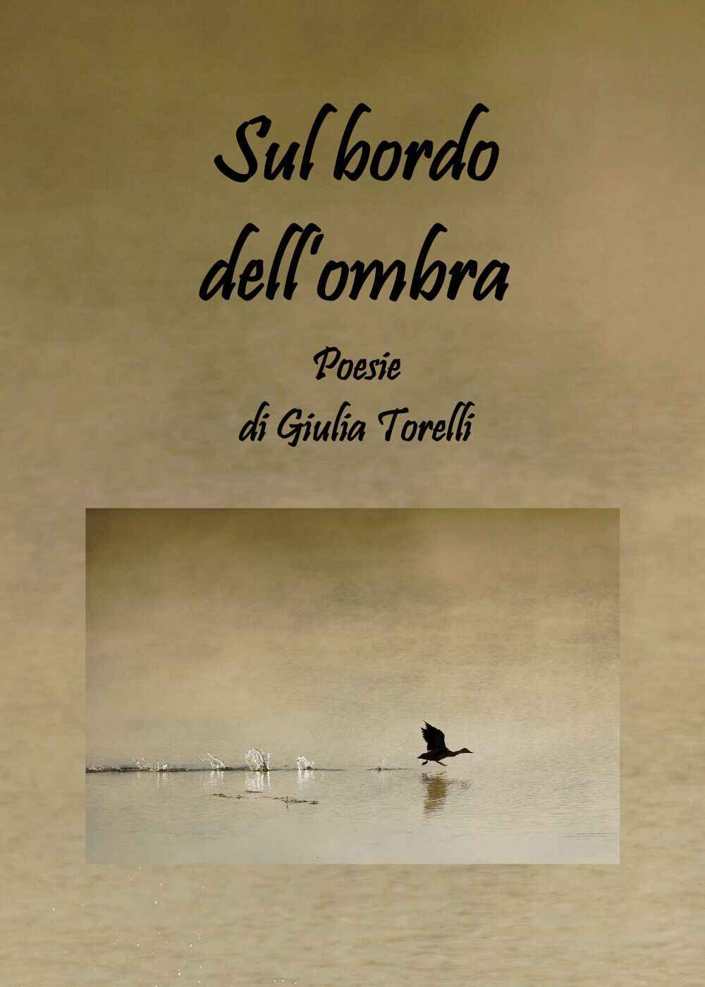 Sul bordo delL'ombra di Giulia Torelli,  2020,  Youcanprint libro usato
