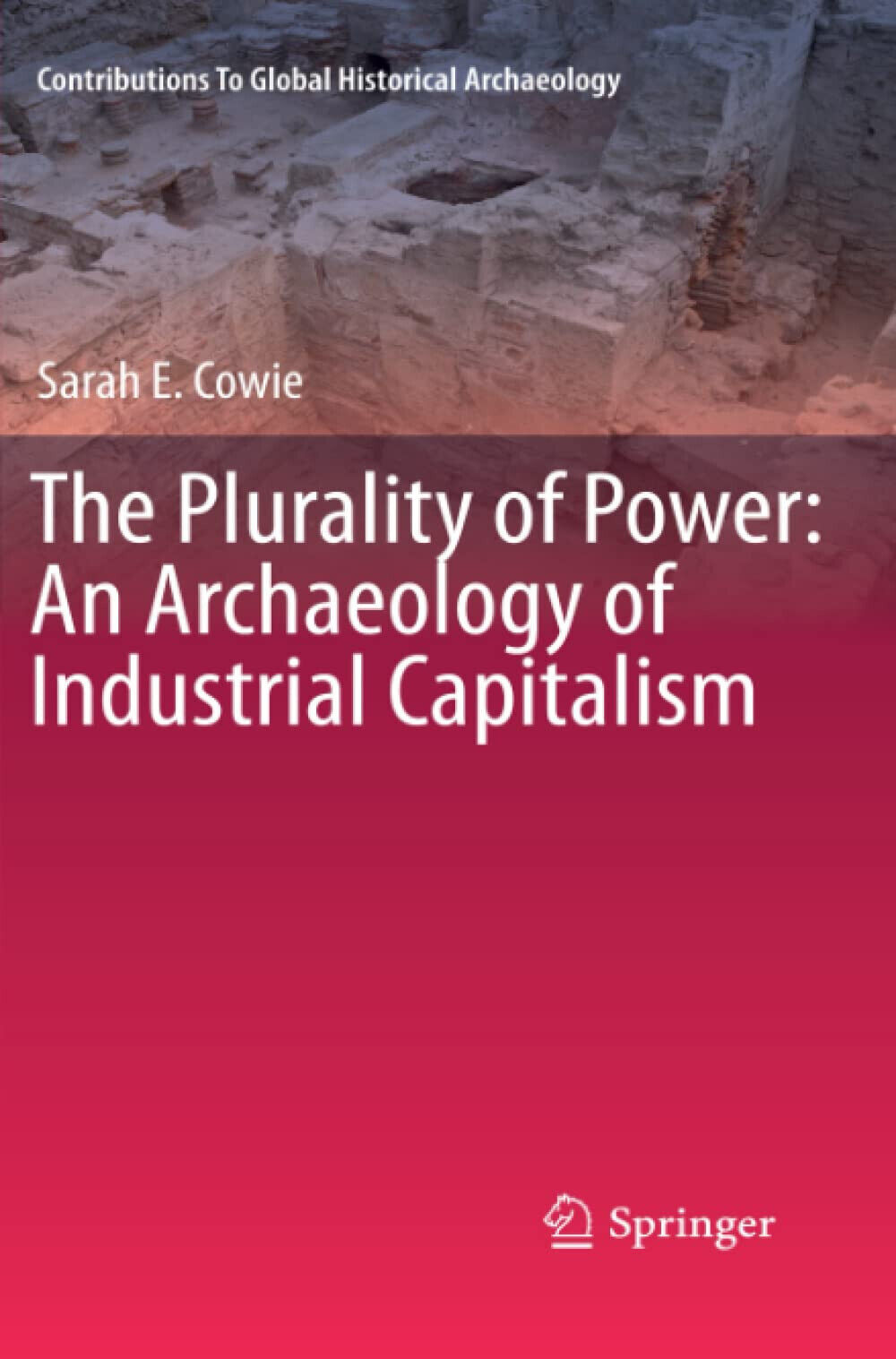 The Plurality of Power - Sarah Cowie - Springer, 2013 libro usato