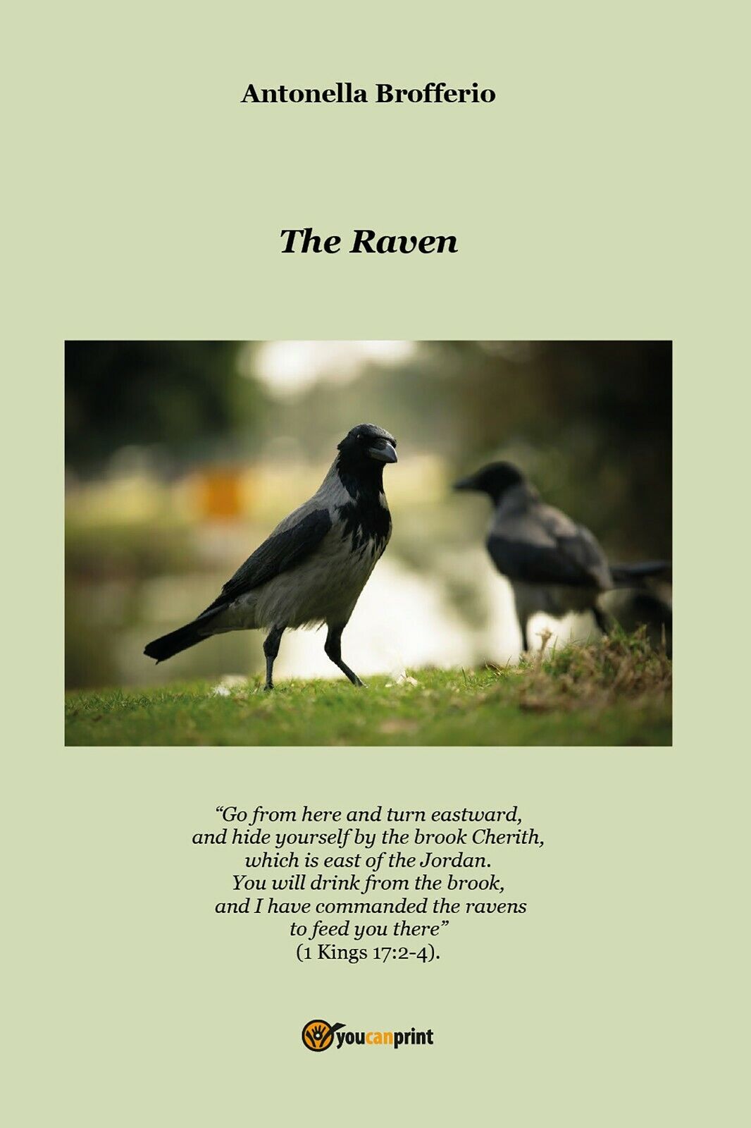The Raven di Antonella Brofferio,  2021,  Youcanprint libro usato