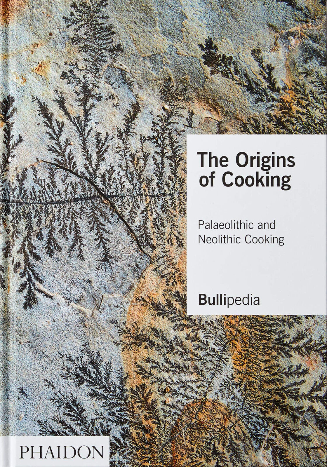 The origins of cooking. Paleolithic and Neolithic cooking - Ferran Adri? - 2021 libro usato