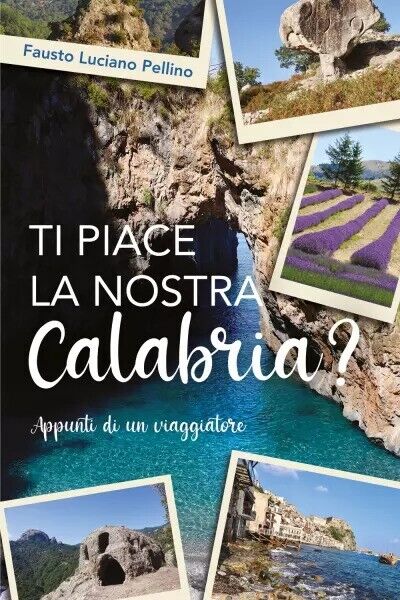 Ti piace la nostra Calabria? Appunti di un viaggiatore di Fausto Luciano Pellin libro usato