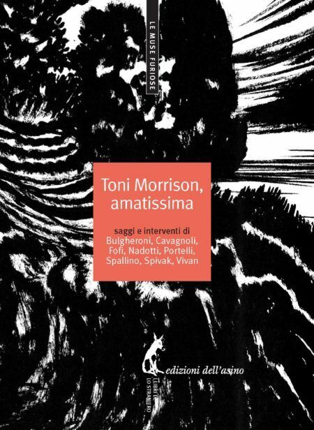 Toni Morrison, amatissima. Saggi e interventi di Marisa Bulgheroni,  2014,  Ediz libro usato