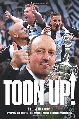 Toon Up - Cecil Grundy - G2 Entertainment Ltd, 2017 libro usato