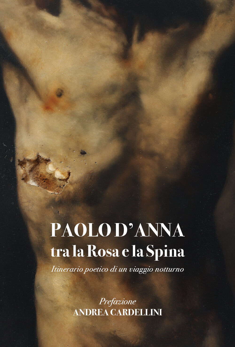 Tra la Rosa e la Spina itinerario poetico di un viaggio notturno di Paolo d'Anna libro usato