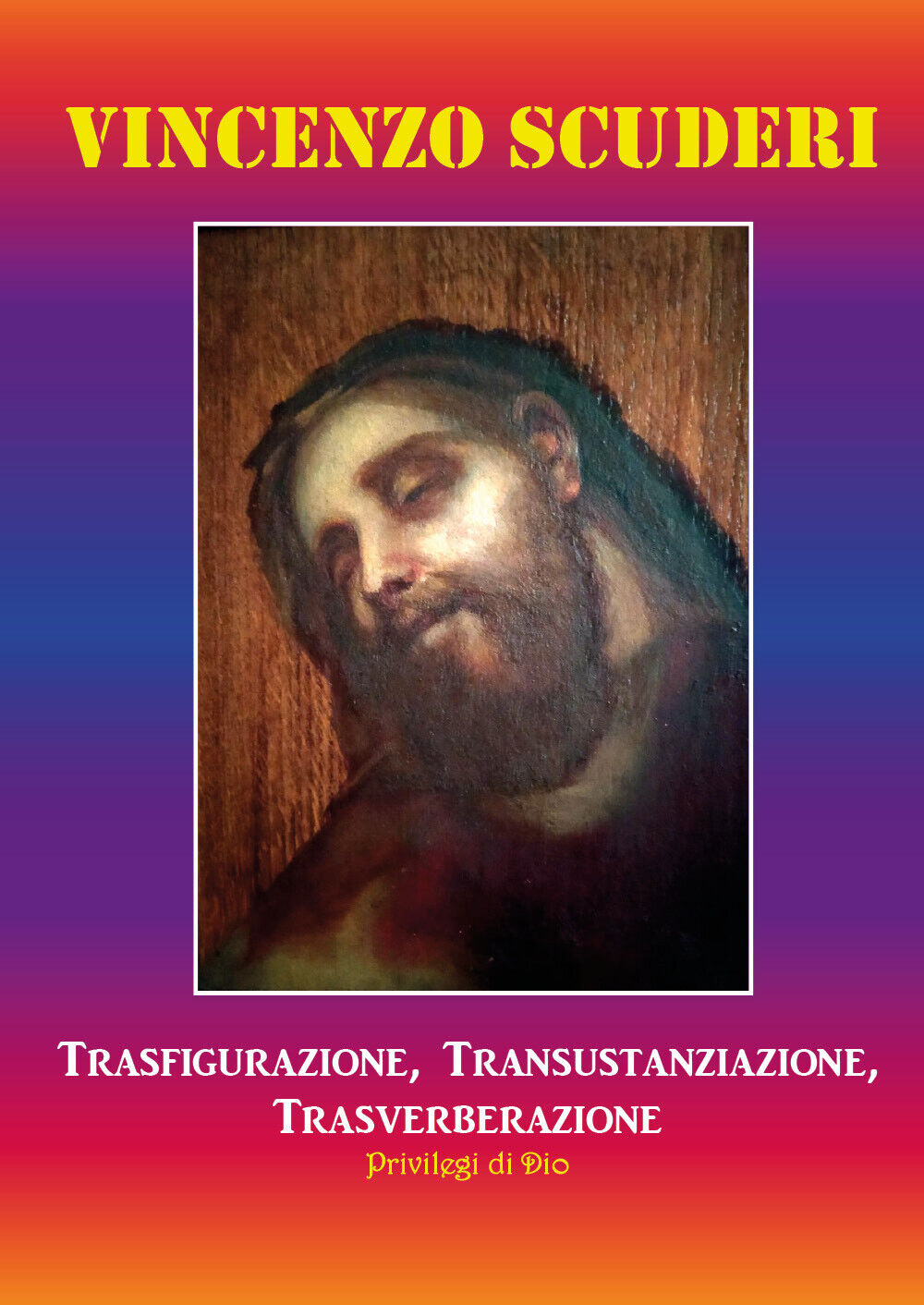 Trasfigurazione, transustanziazione, transverberazione, privilegi di Dio di Vinc libro usato