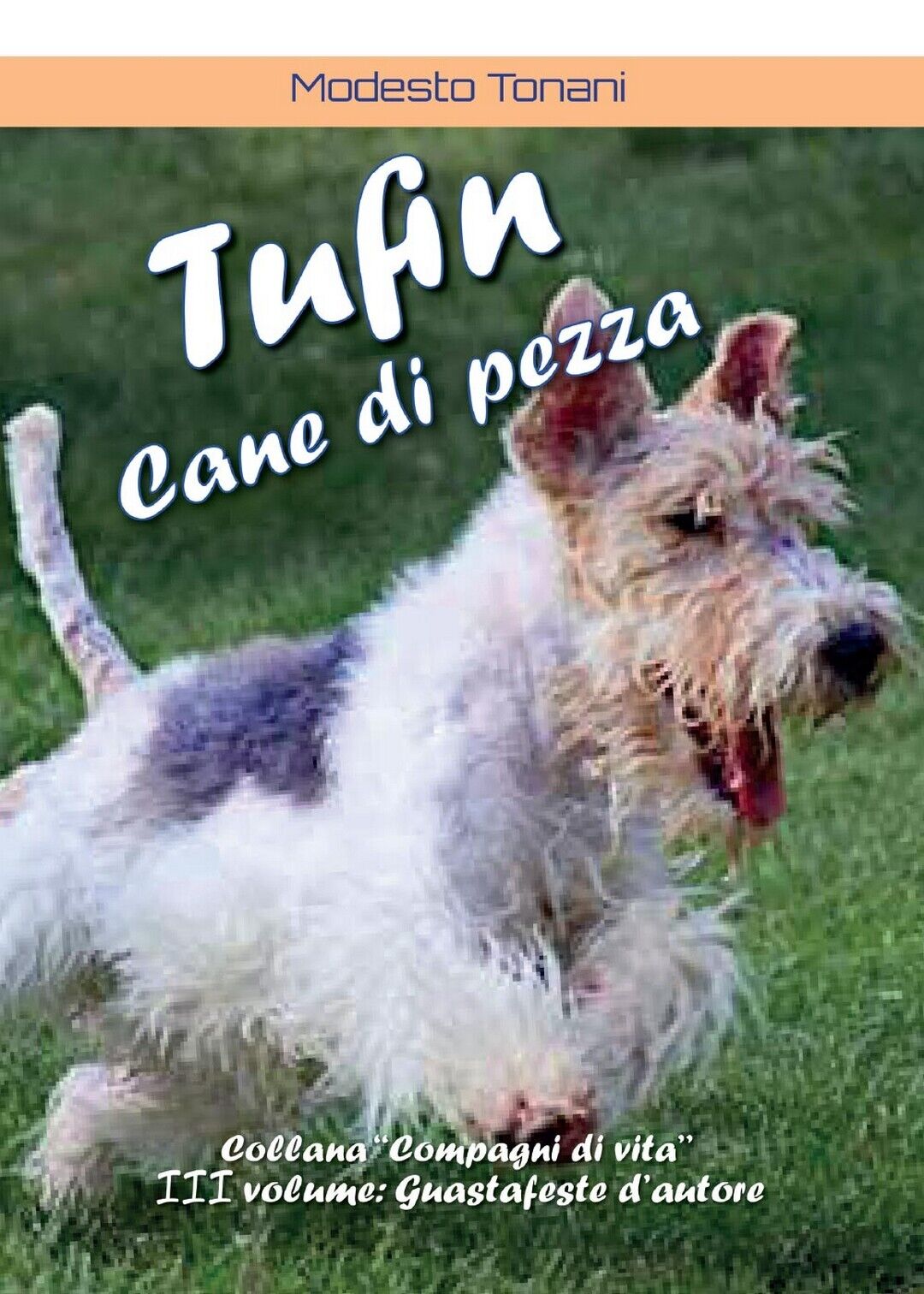 Tufin cane di pezza  di Modesto Tonani,  2016,  Youcanprint libro usato