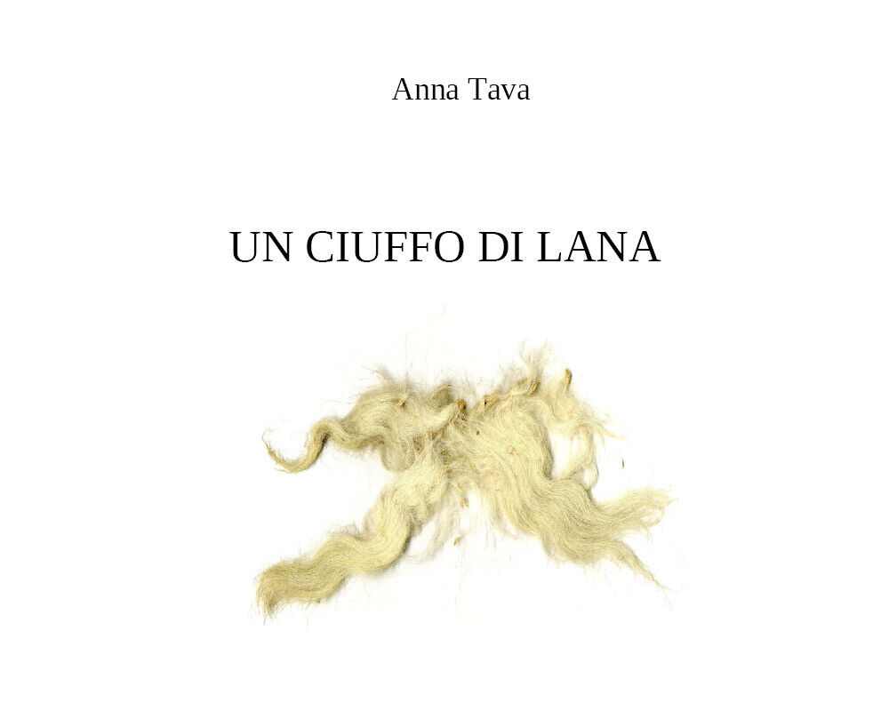 Un ciuffo di lana di Anna Tava,  2021,  Youcanprint libro usato