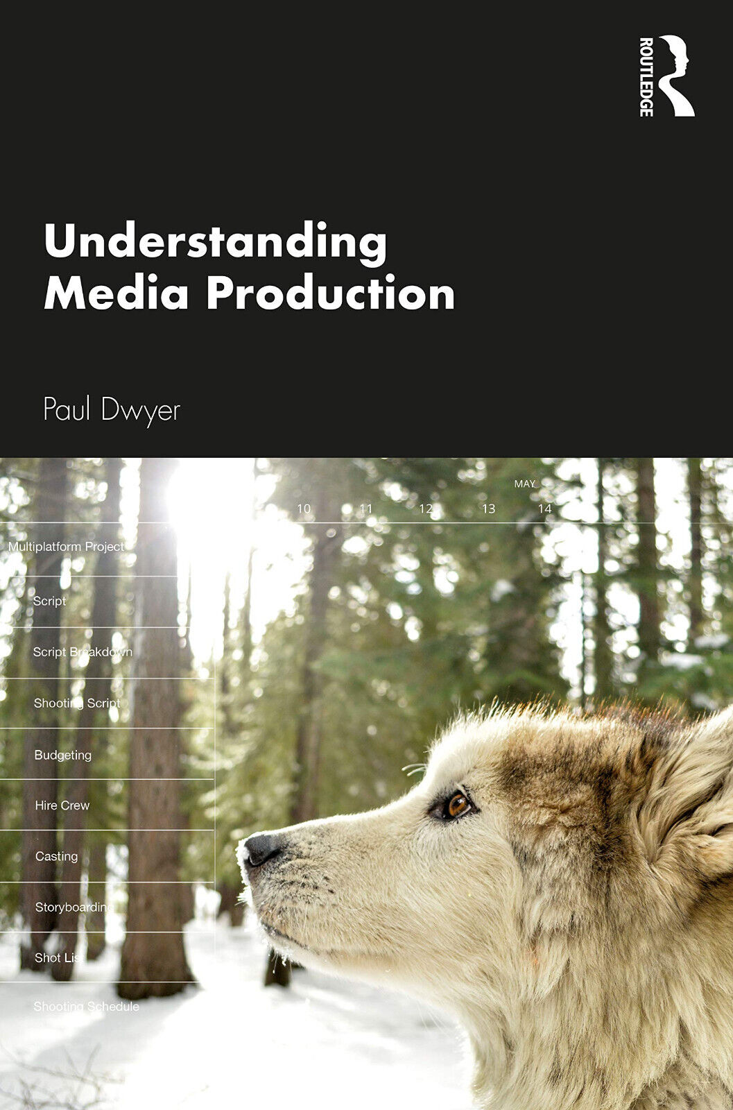 Understanding Media Production - Paul Dwyer - Routledge, 2019 libro usato