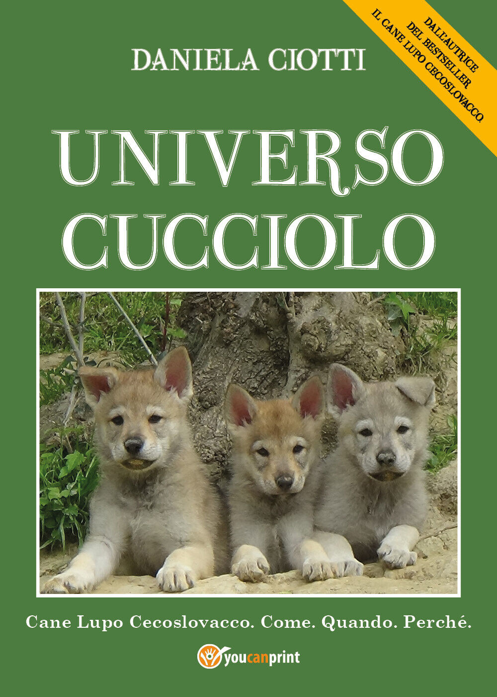 Universo cucciolo di Daniela Ciotti,  2021,  Youcanprint libro usato