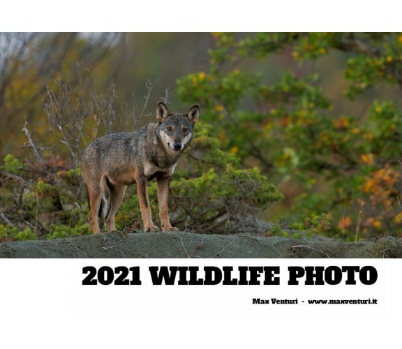 2021 WILDLIFE PHOTO di Max Venturi,  2021,  Youcanprint