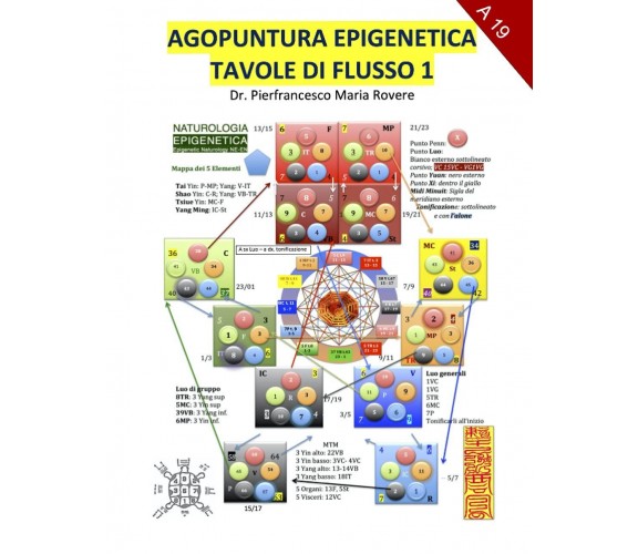 Agopuntura Epigenetica 1: Tavole di Flusso - Dr. Pierfrancesco Maria Rovere-2020