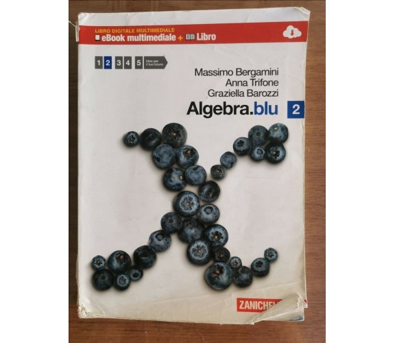 Algebra blu 2 - AA. VV. - Zanichelli - 2010 - AR