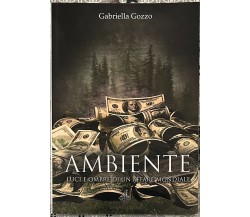 Ambiente. Luci e ombre di un affare mondiale di Gabriella Gozzo, 2017, Enigma