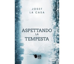 Aspettando la tempesta	 di Josef La Casa,  2018,  Lettere Animate Editore