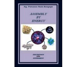 Assembly by energy  di Francesco P. Rosapepe,  2014,  Youcanprint - ER