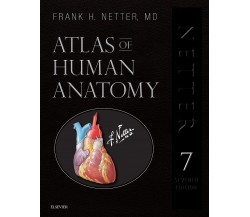 Atlas of Human Anatomy - Frank H. Netter - Elsevier, 2018