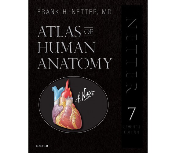 Atlas of Human Anatomy - Frank H. Netter - Elsevier, 2018