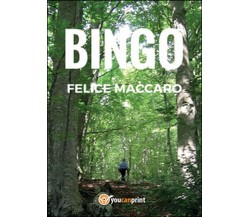 Bingo	 di Felice Maccaro,  2015,  Youcanprint