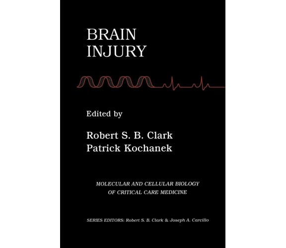 Brain Injury - Robert S. B. Clark - Springer, 2012