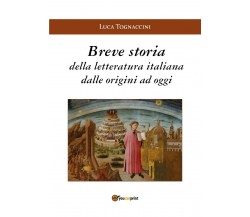 Breve storia della letteratura italiana dalle origini a oggi di Luca Tognaccini,